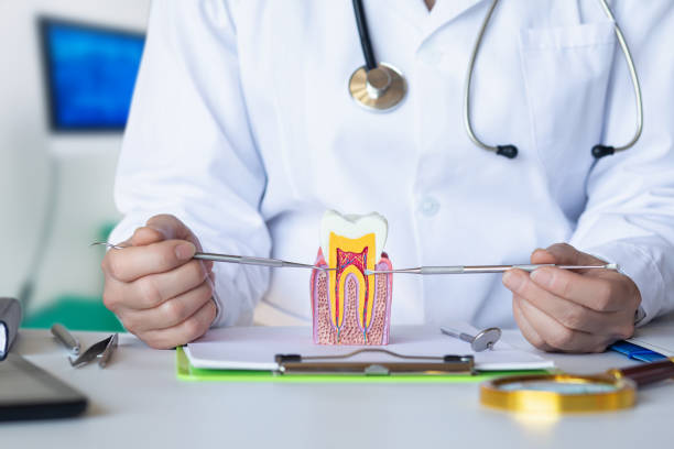 Best Emergency Dentist for Lost Fillings or Crowns in Schofield Barracks, HI